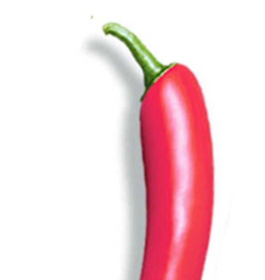 Roter kleiner Vibrator in Chili-Form - Diskretes Wellness-Massagegerät mit 10 Modi